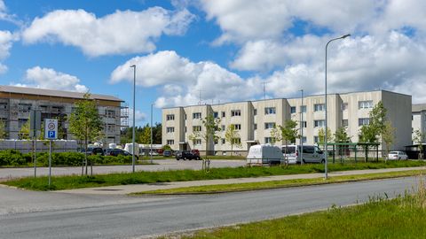 Pesitsusajal algavad ehitustööd panevad pääsukesed ohtu