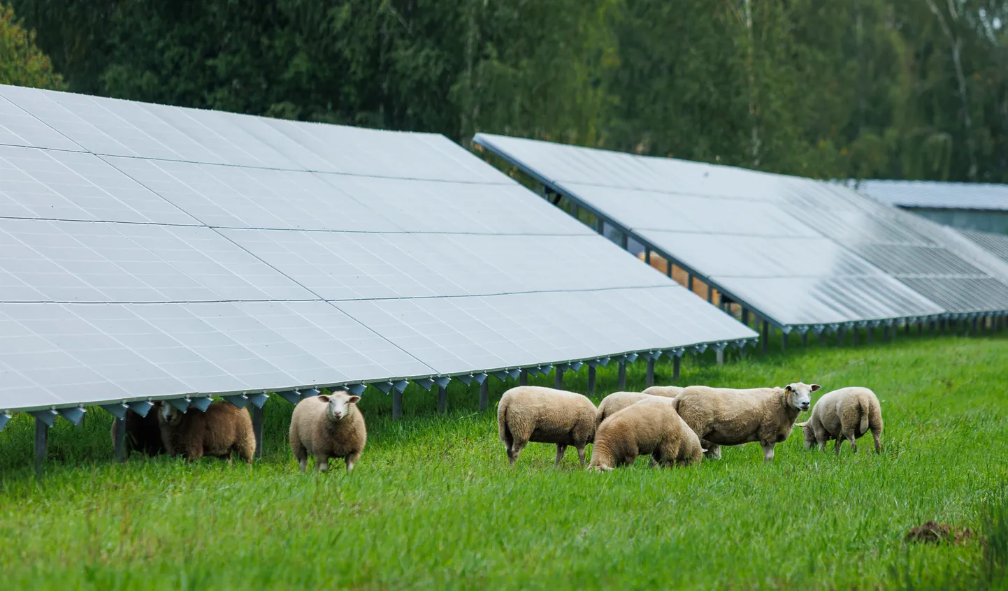 KC Energy portfelli kuuluv päikesepark Põlvamaal Ruusal.