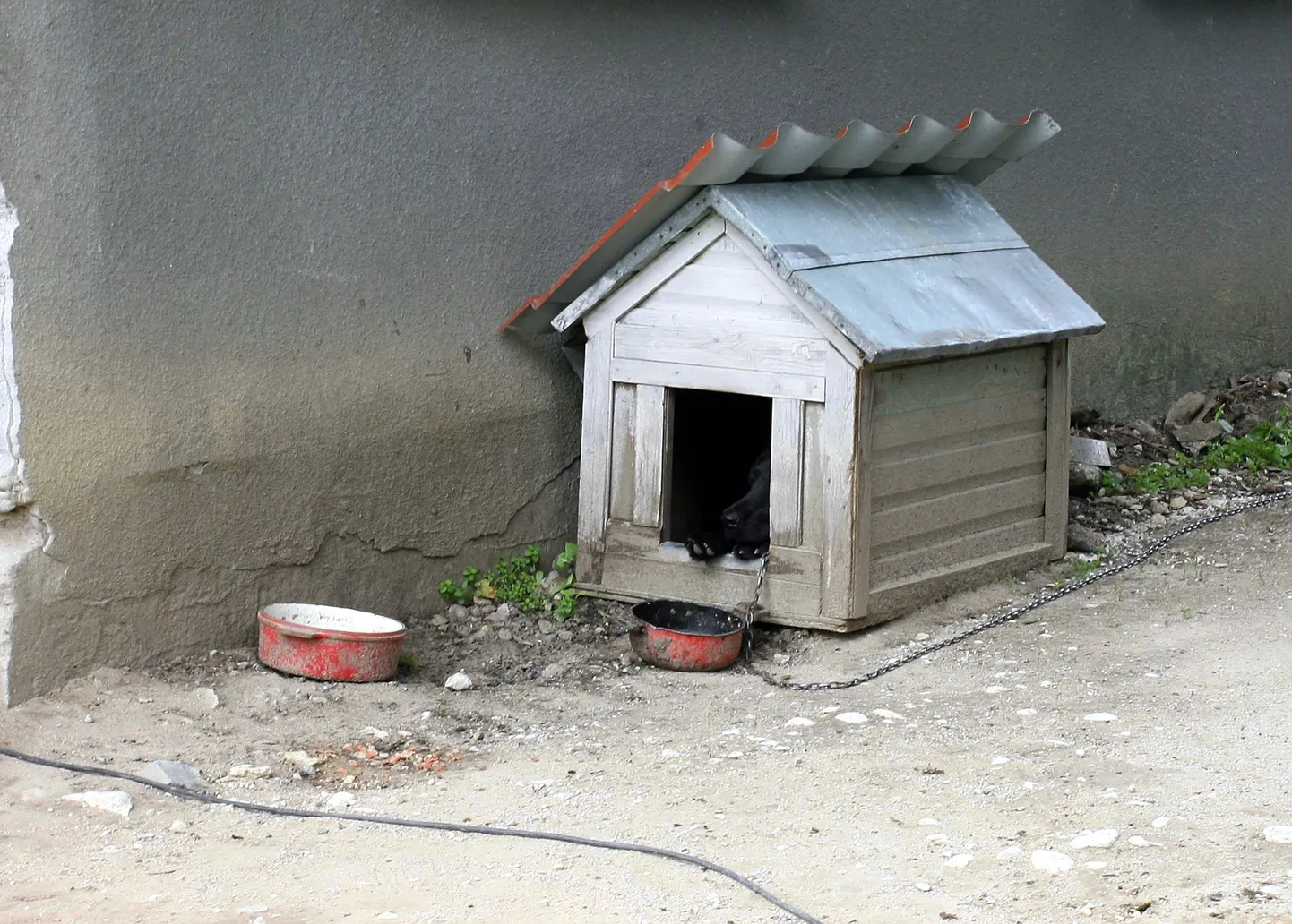 Artikli foto