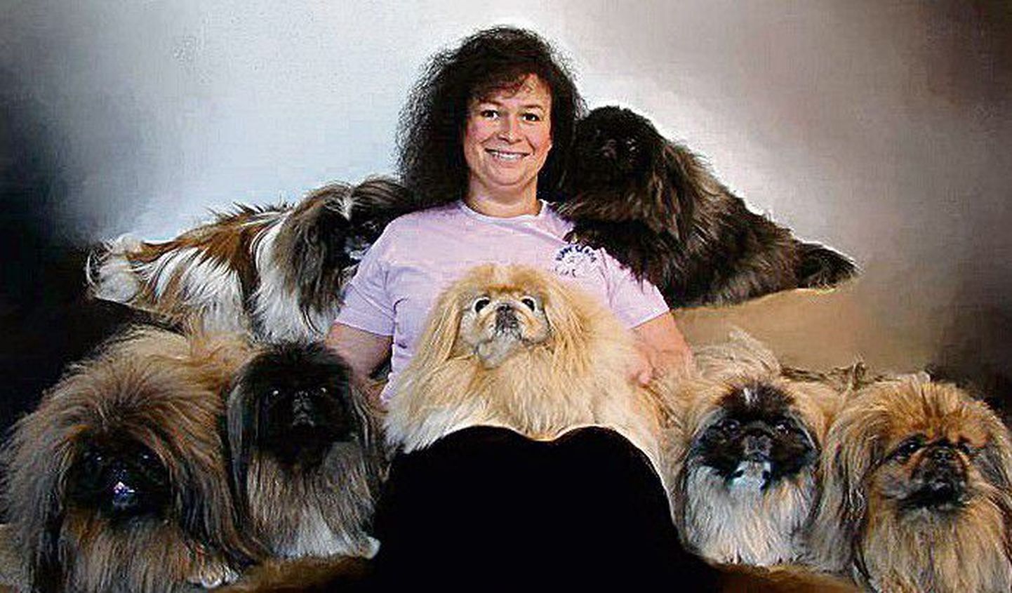 Teab koertest kõike: Marina Roos oma lemmikute keskel.