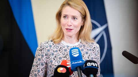 Каллас о развале коалиции: министры-центристы вели подрывную работу, Эстонии нужно работоспособное правительство