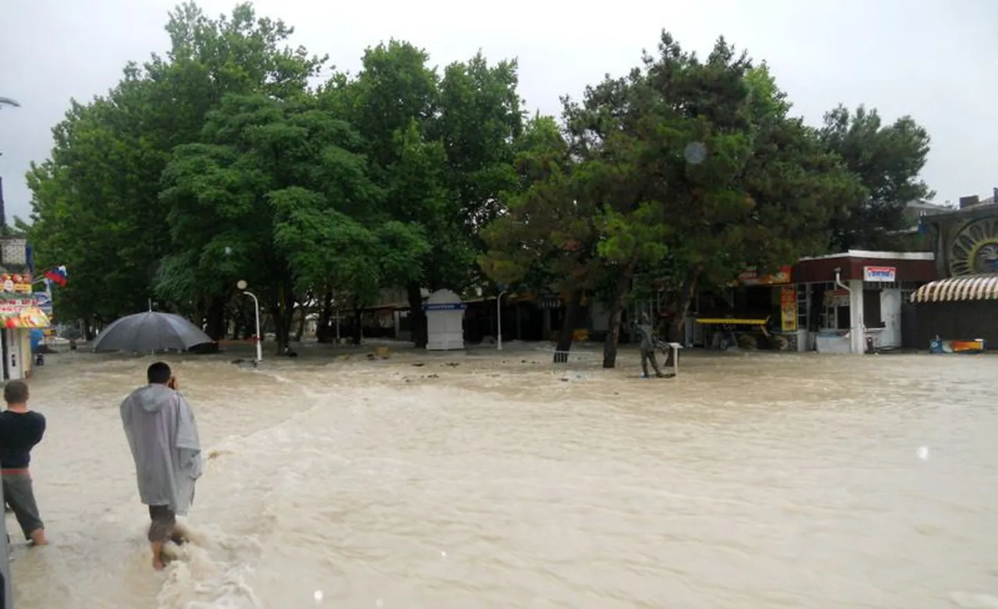 Artikli foto