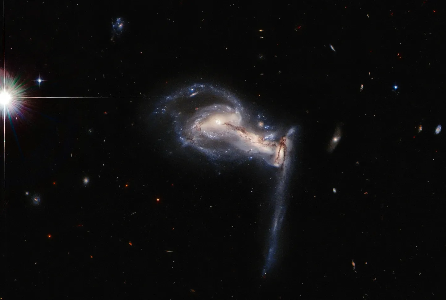 Arp 195