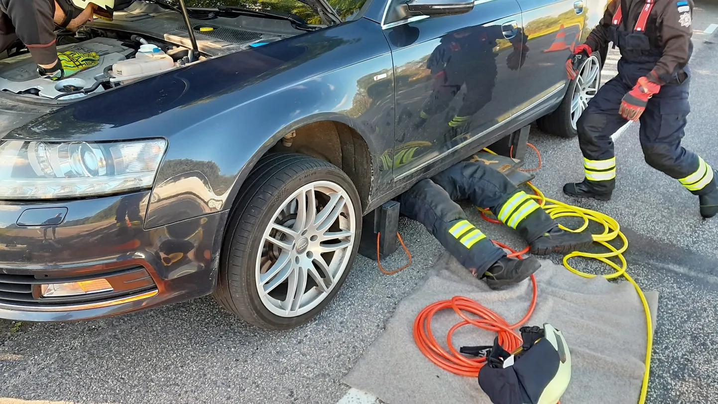 Kassipoja päästmisoperatsioon Lüganusel.