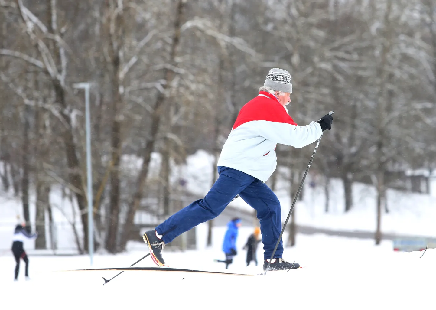 Sel talvel saab Tartus suusatada uutel erinevatel suusaradadel. Pildil Tähtvere purgepark.
