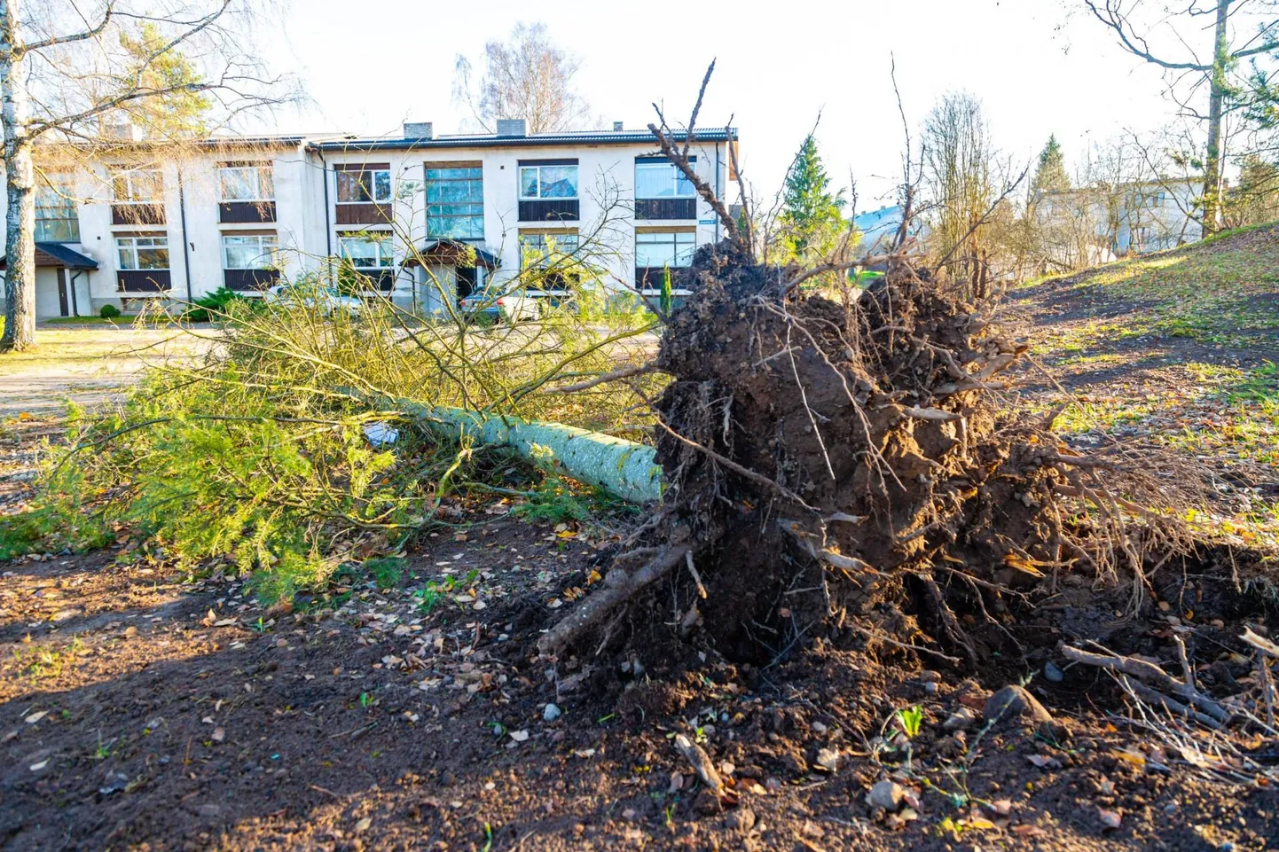 Tormijärgne hommik Kagu-Eestis.