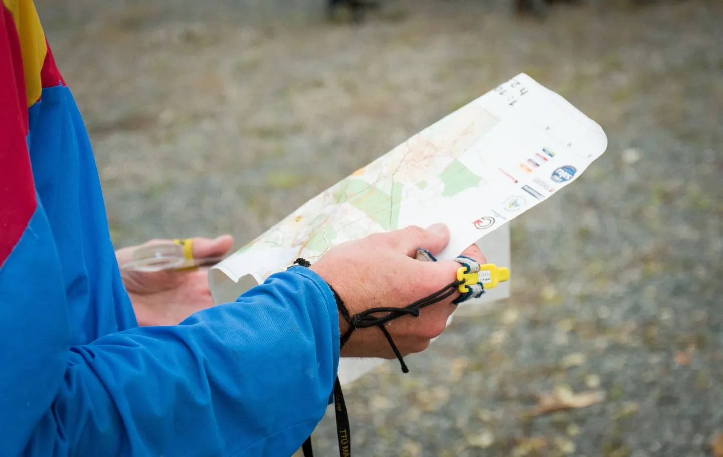 Orienteerumine.