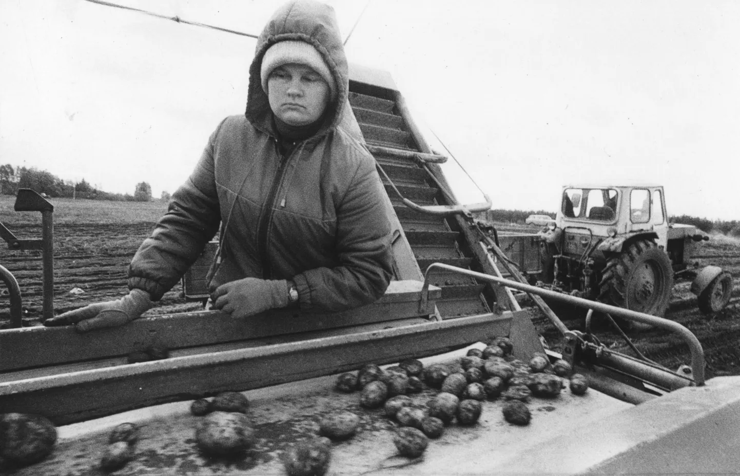 Mõnes kohas võeti kartuleid ka kombainiga.