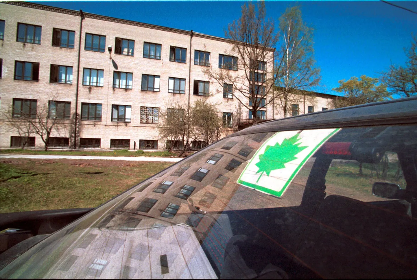 Algaja autojuhi tunnuseks olev vahtralehe märk.