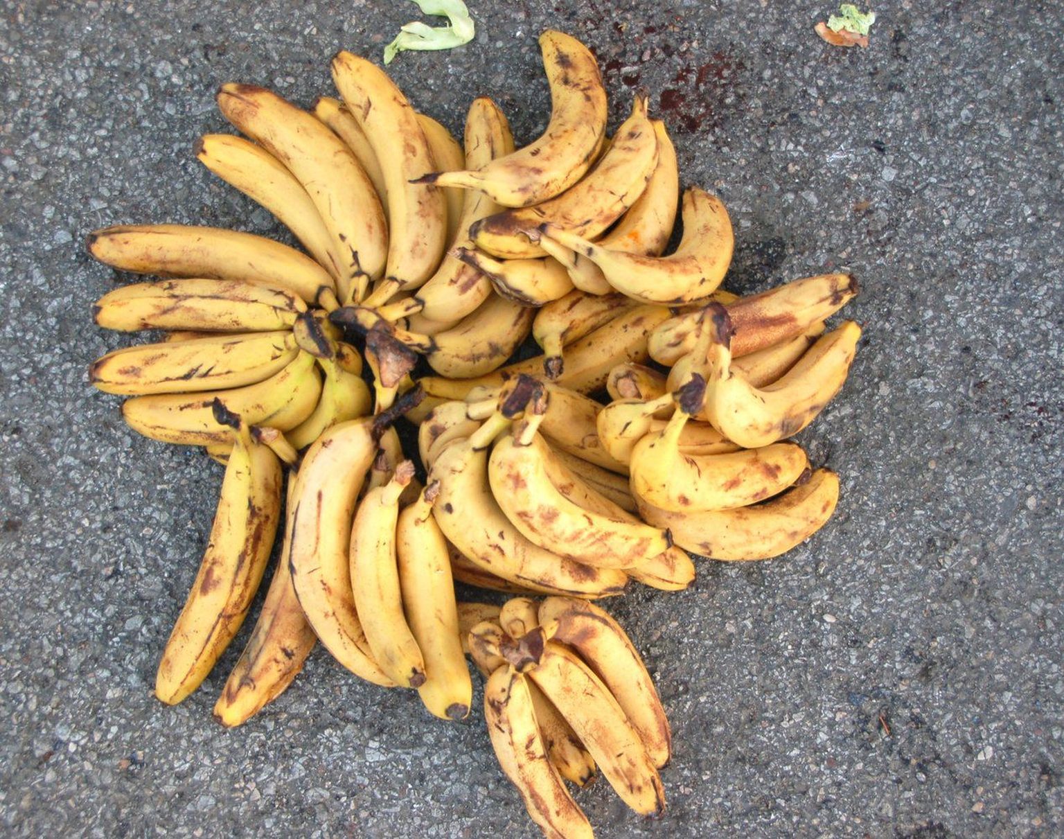 Sellised banaanid lähevad kauplustes mahakandmisele.