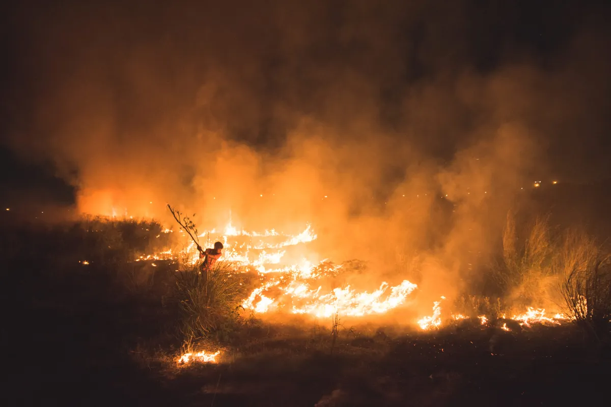 Raksta foto