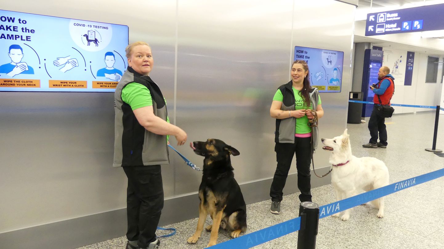 Helsingi lennujaama koerad