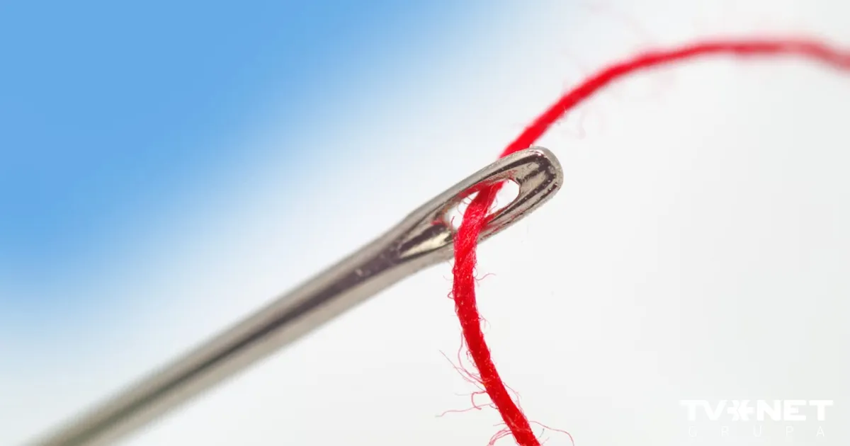 Close-Up Test: Can You Identify This? - News Directory 3