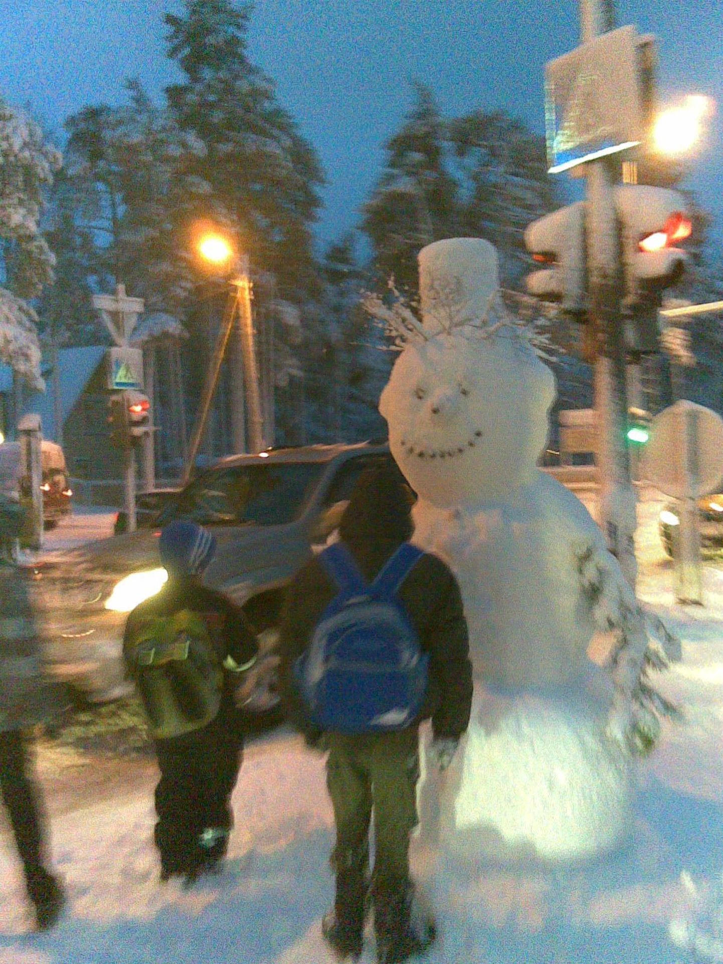 Naljahambad olid teinud Tallinnas Vabaduse puiestee ja Valdeku tänava keskel asetsevale ohutussaarele lumememme, kes ka üleminemise võimalust ootas.