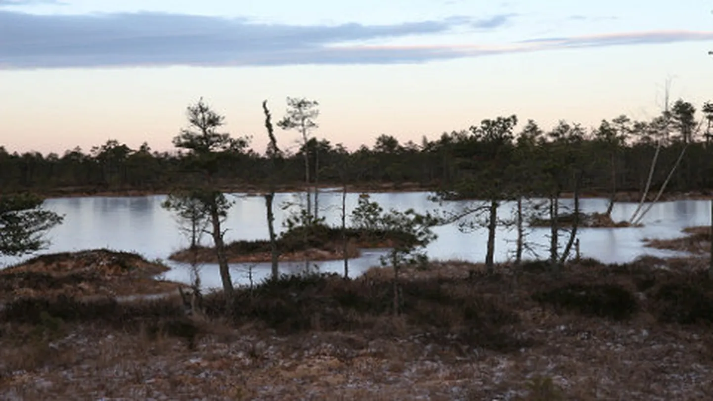 Rabad on väga olulised puhta vee reservuaarid ning neil on tähtis roll CO2 sidujatena.