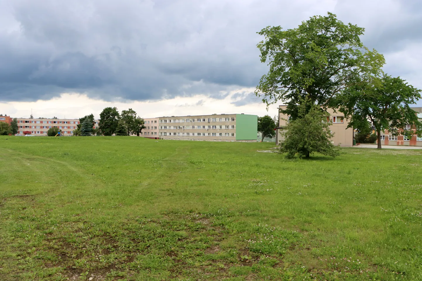 Praegu igavalt lagedale alale luuakse liigirikas näidispark.
