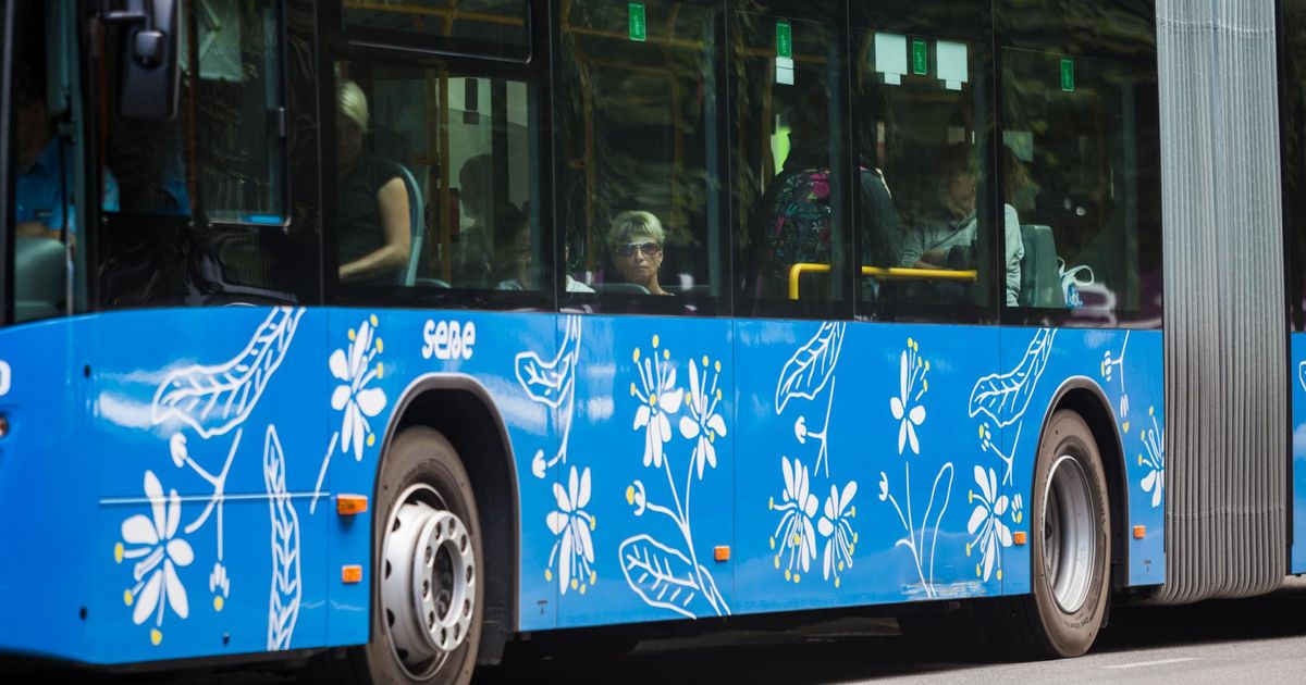 Bussis kukkunud eakas reisija sai viga