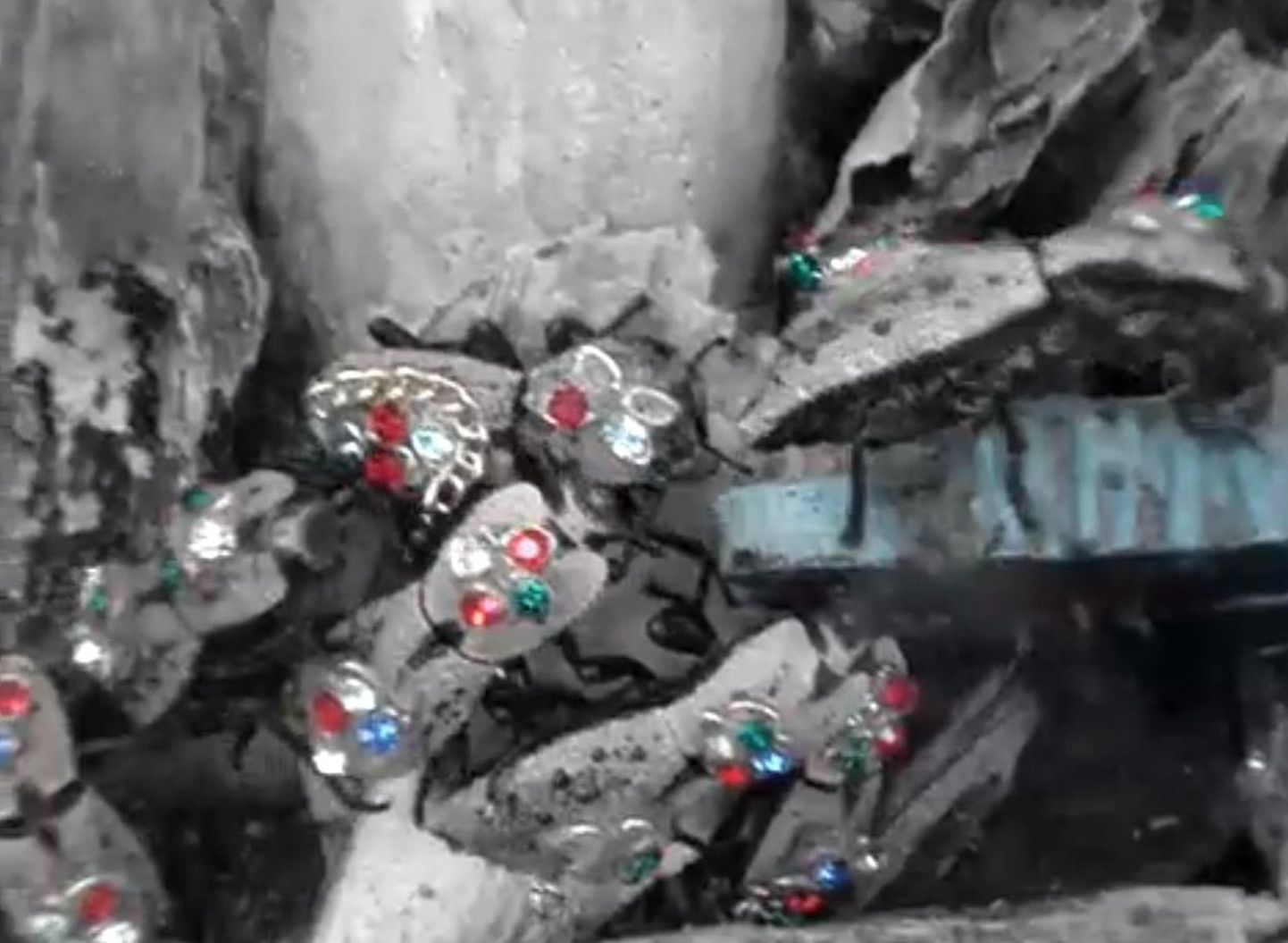 Mehhikos on saanud uueks trendiks kanda kunstvääriskividega kaetud elusaid mardikaid