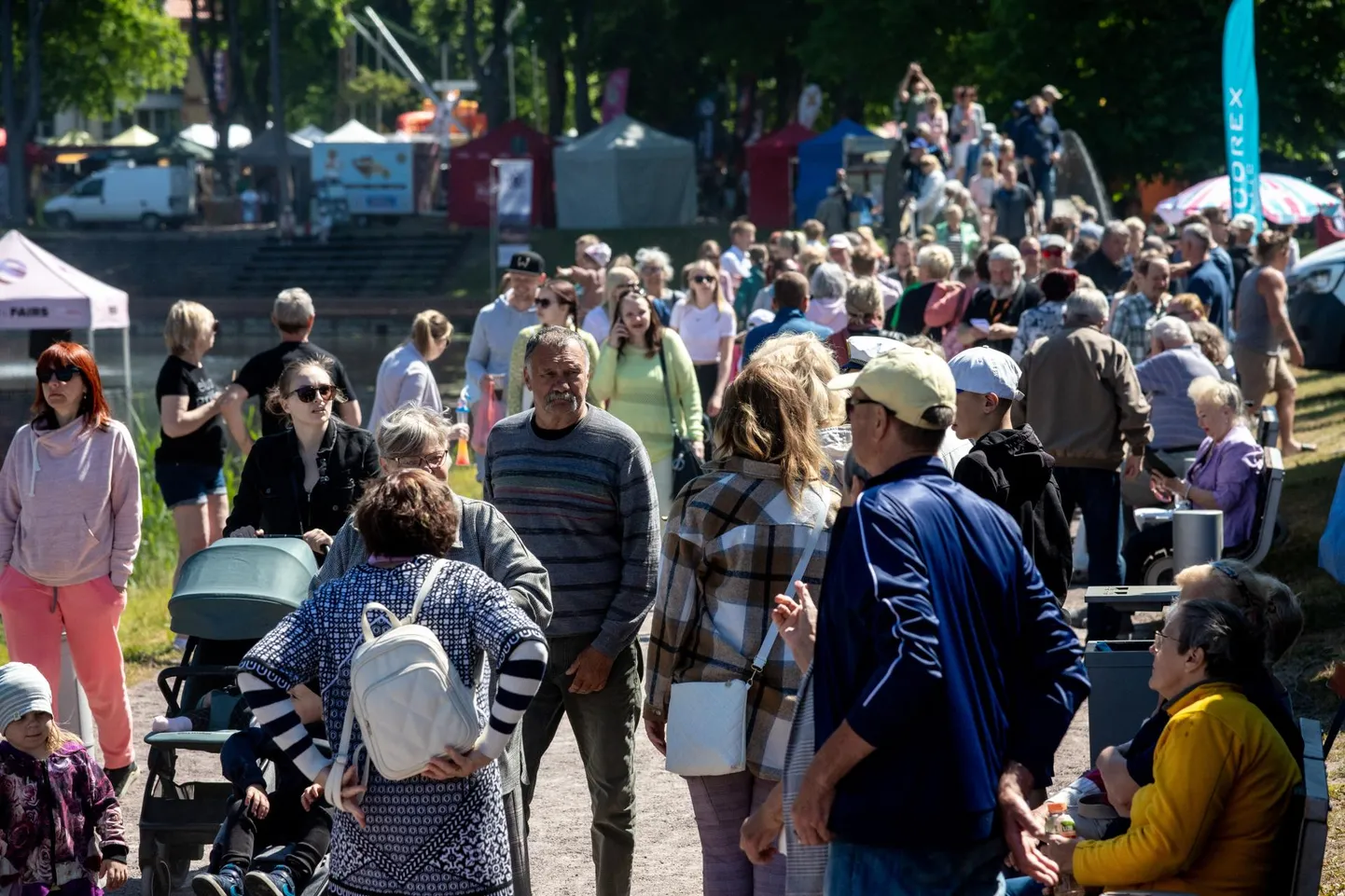 Grillfest Vallikääru aasal.