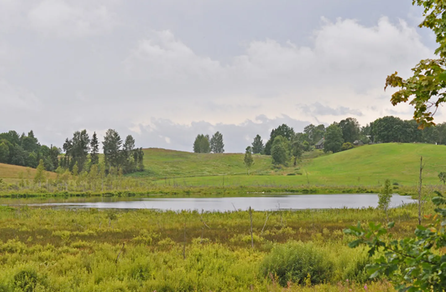 Raksta foto