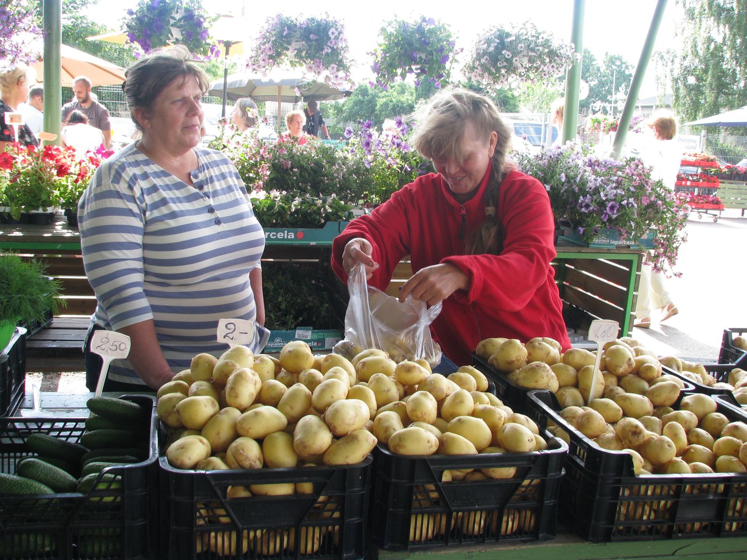 Värske kartuli hind jääb Pärnu turul ühe ja kahe euro vahele.