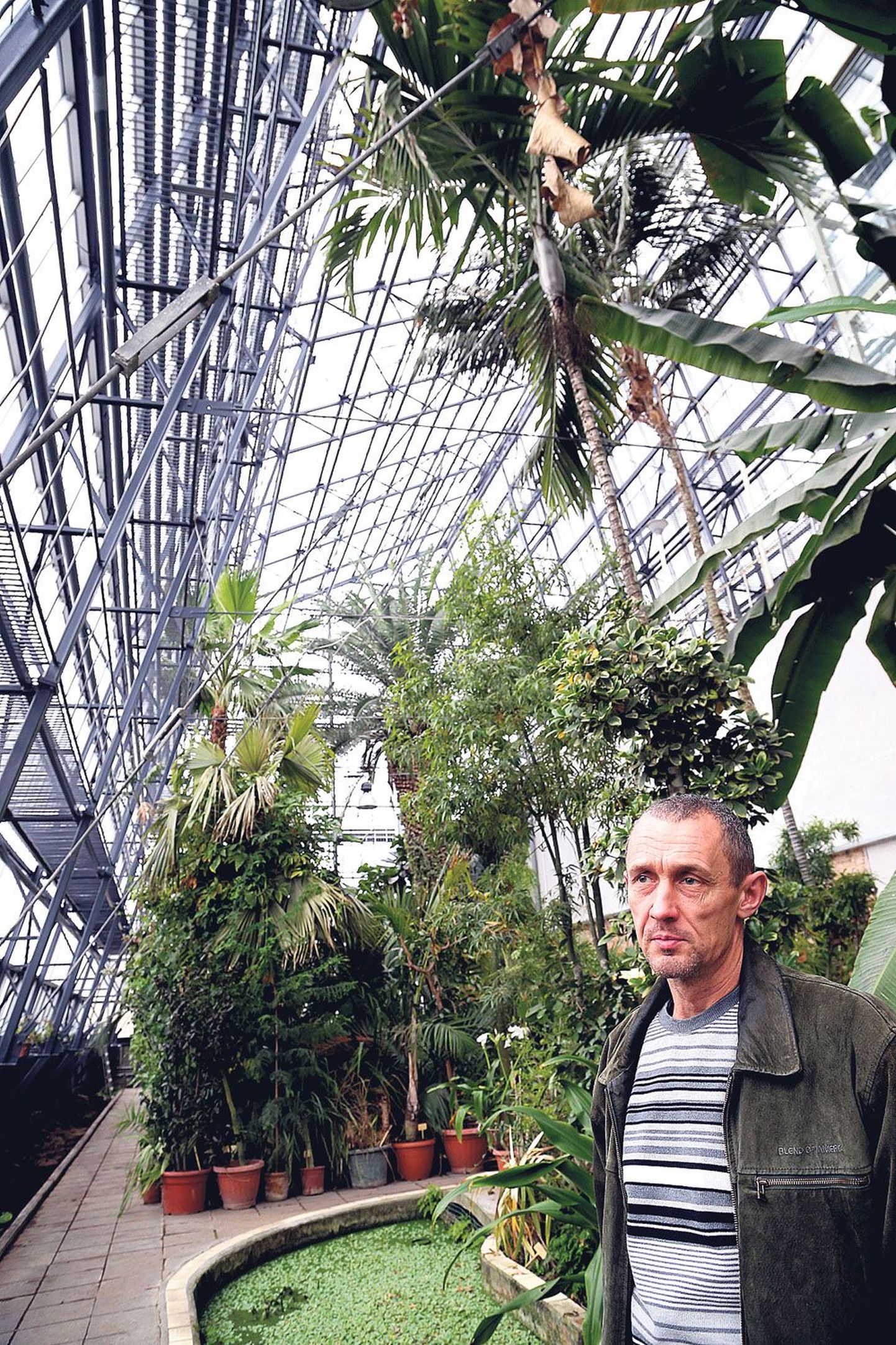 Tartu ülikooli botaanikaaia juhataja Jüri Sild on palmihoone remondiga väga rahul ning usub, et suurt tööd pole seal ehitajatel tarvis teha hea mitukümmend aastat.