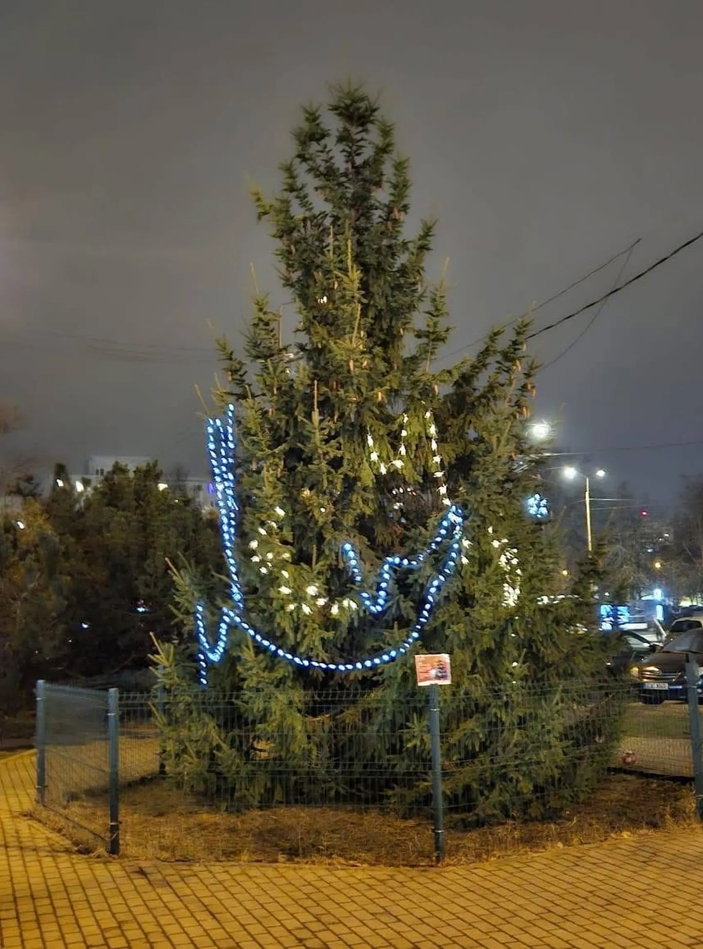 Artikli foto