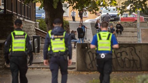 Noorte kogunemised ja korrarikkumised pealinna parkides on taandunud