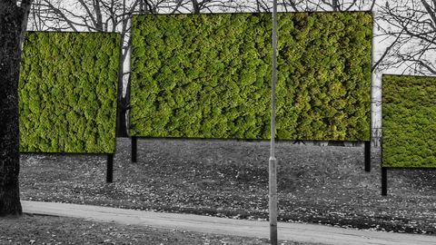 Viesturdārzā uzstādīts inovatīvs sūnu filtrs