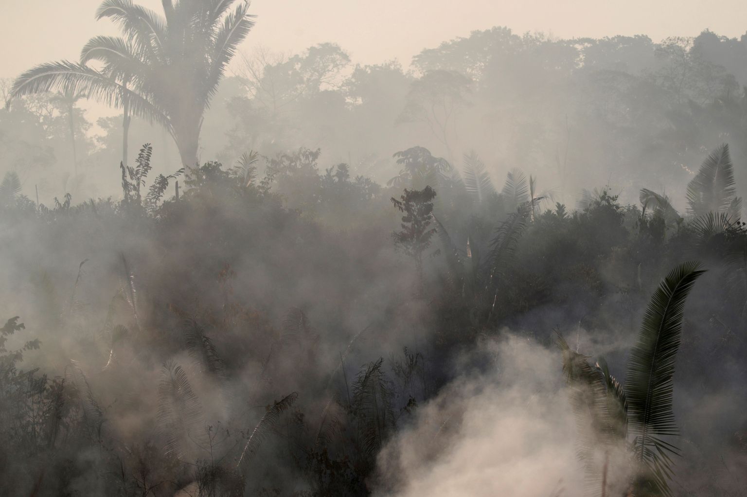 Suits heljumas Brasiilias Amazonases põlevast metsatulekahjust.