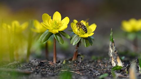 Синоптики рассказали, какой будет погода на новой неделе