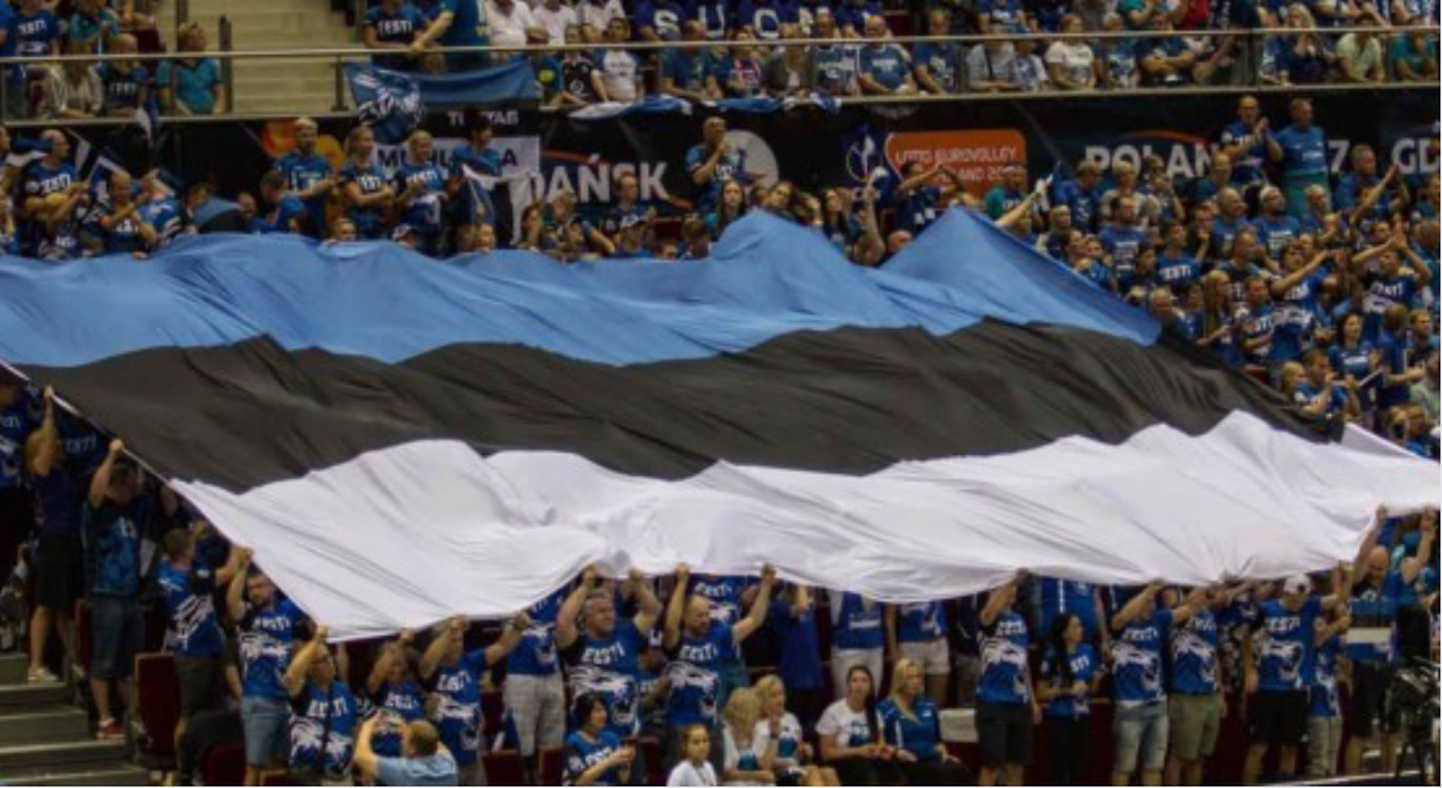 Eesti võrkpallikoondise fännid. Pilt on illustreeriv