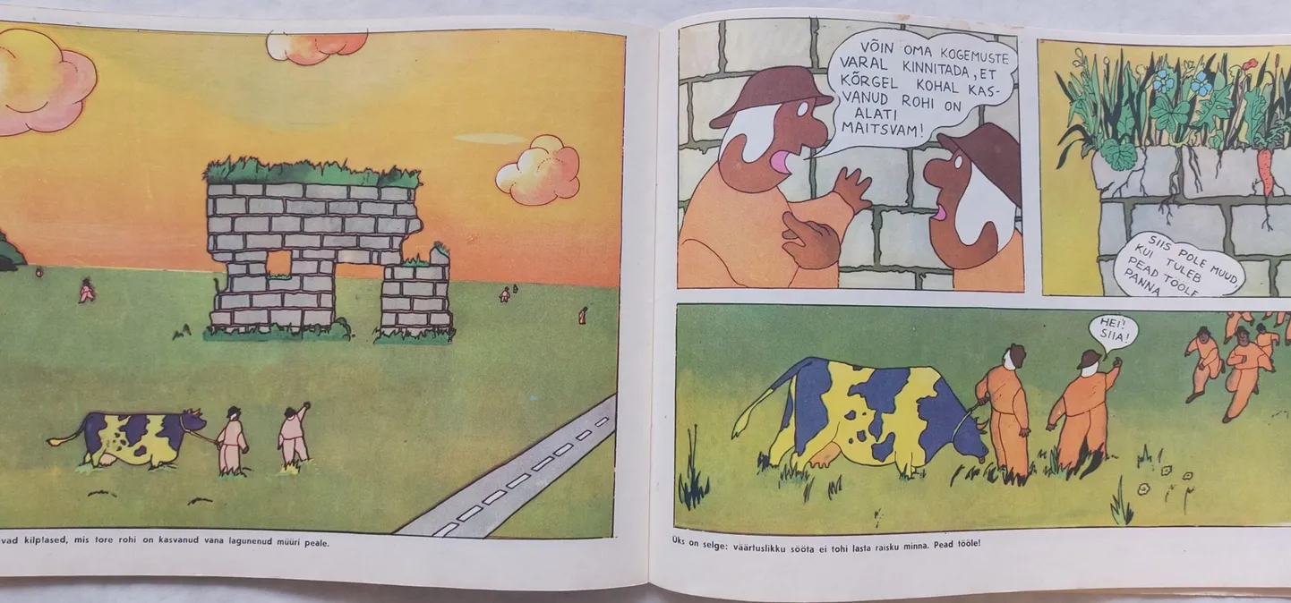 Isegi kilplased said aru, et lehma katusele tirimiseks tuleb koostööd teha!