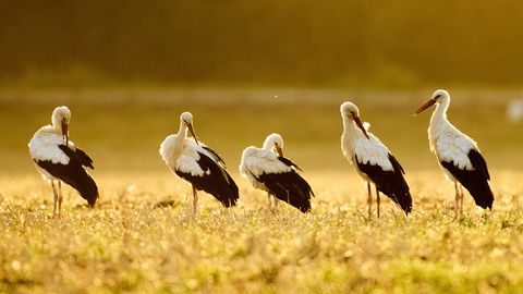 Arī piektdienu sola mākoņainu