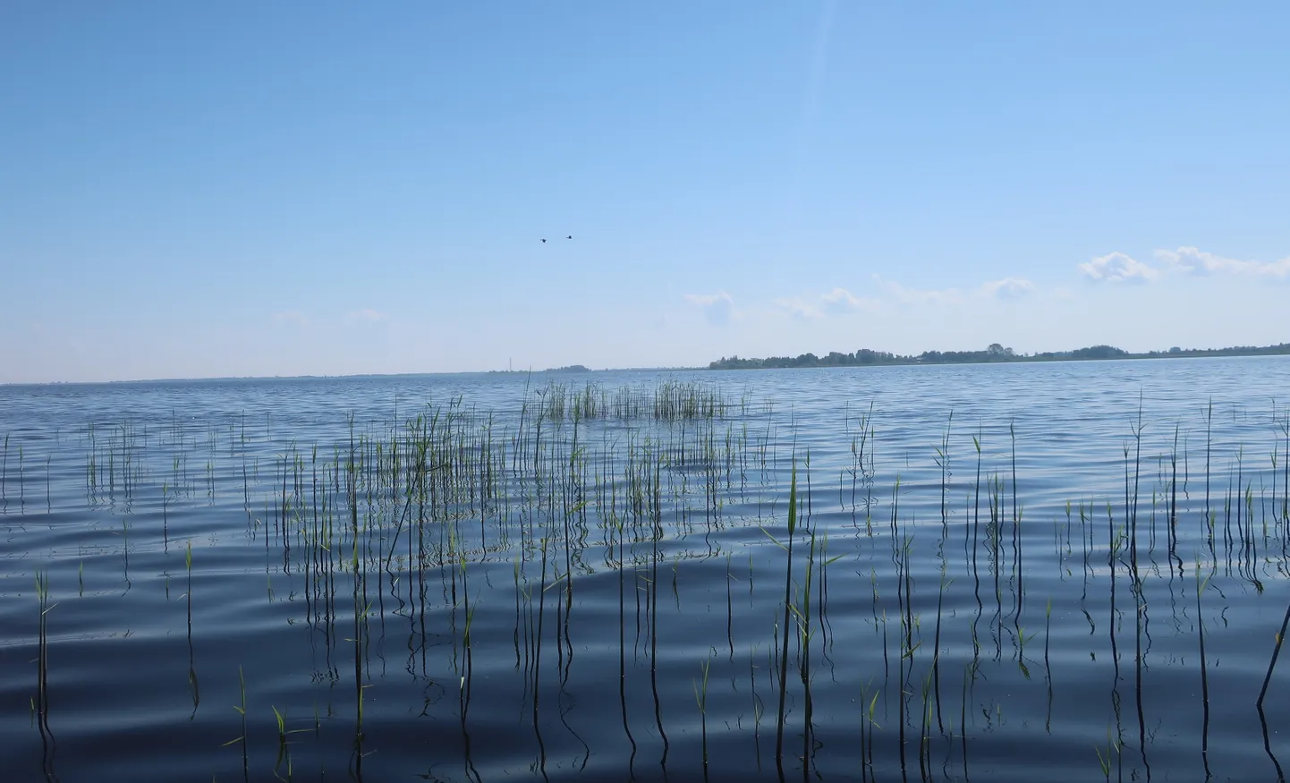 Neljapäeval avastasid piirivalvurid Lämmijärvel ajutise kontrolljoone ebaseadusliku ületuse, mille oli toime pannud mootorpaat. Foto on illustratiivne.