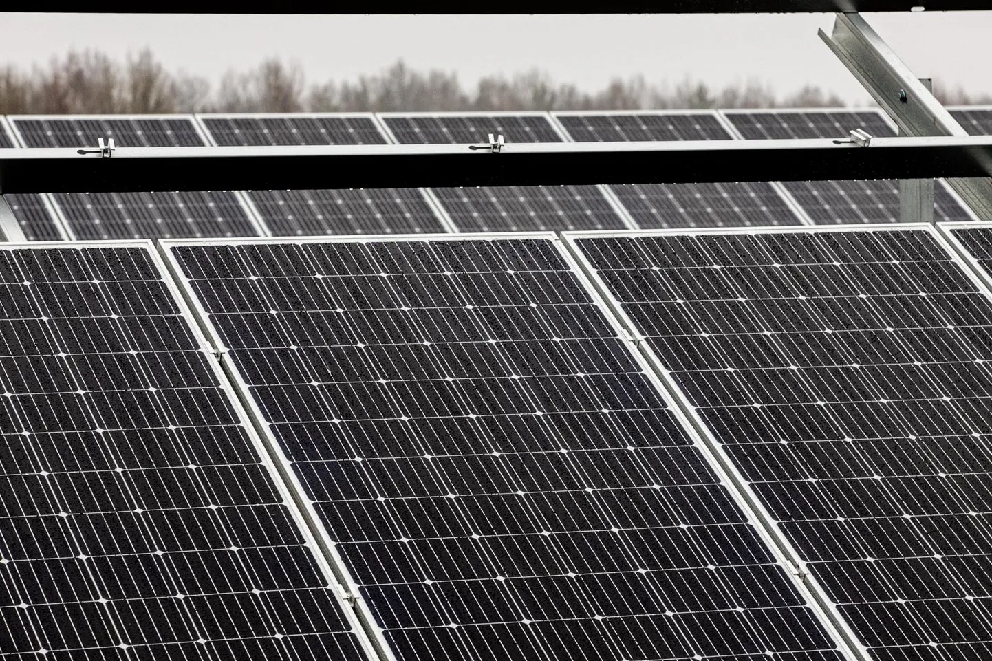 Pärnu linnavolikogu tõmbas Solar Light OÜ plaanile Liu rannakülas päikesepark püsti panna pidurit.