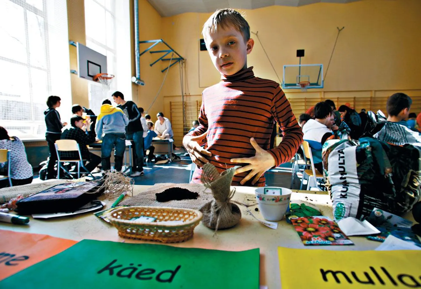 Artikli foto