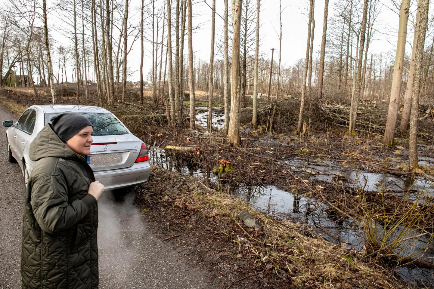 “Siin on küla keskpunkt ja inimesed elavad tiheasustuses ümberringi, aga kinnistuomanik hakkas juba platsi ette valmistama,” nentis Otsa talu perenaine Kai Käärid, viidates Solar Lighti tegevusele Liu kinnistul.