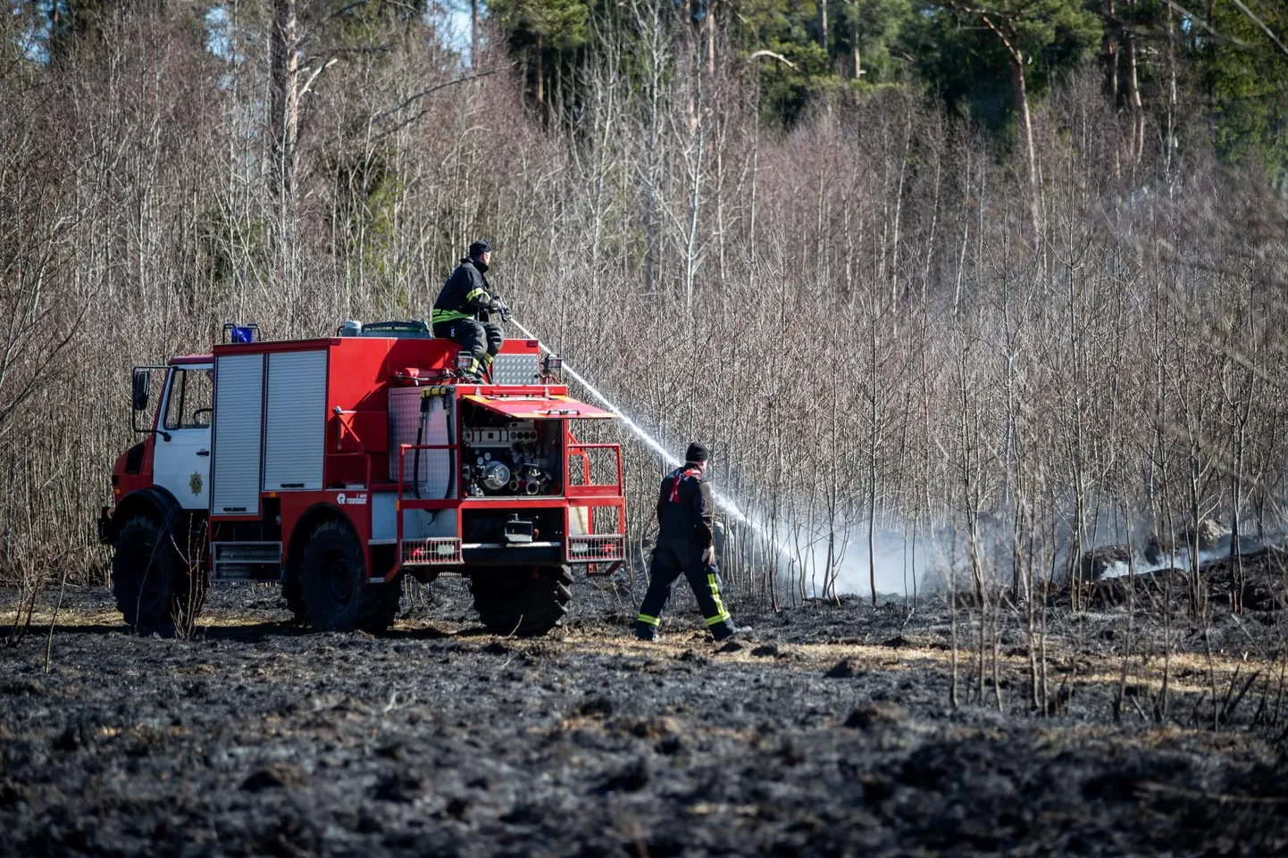 Kulupõlenguid oli teisipäeval mitmel pool. See foto on tehtud Harjumaal.
Eero Vabamägi/Postimees/scanpix
