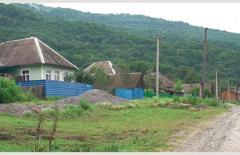 Artikli foto
