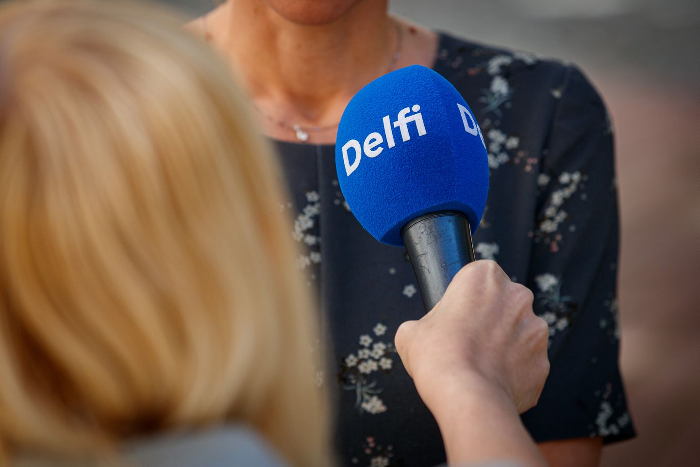 Delfi ajakirjaniku intervjuu.