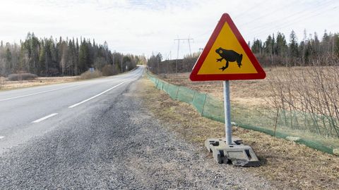 Vabatahtlikud päästsid ligi 14 000 kahepaikset