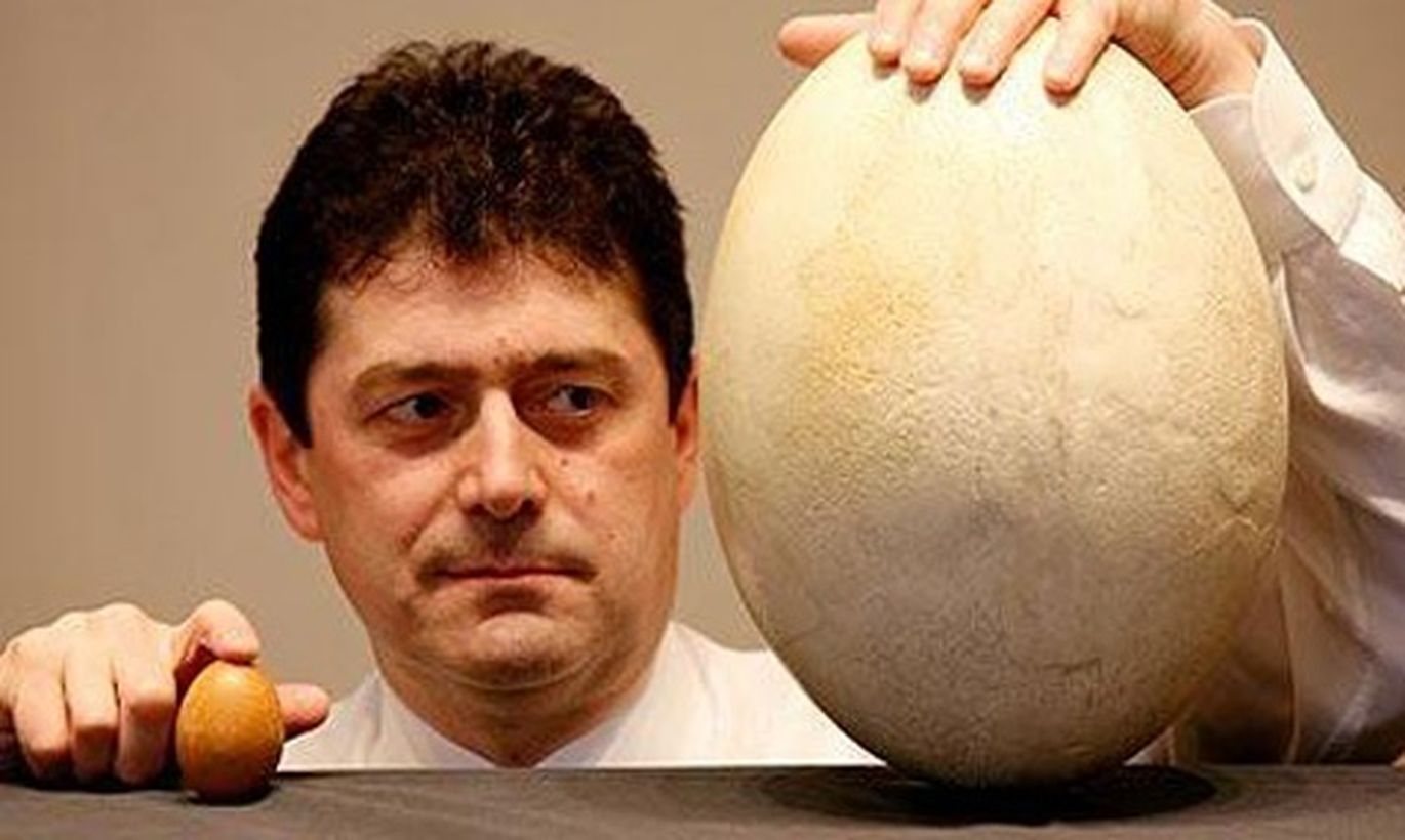 Русские огромные яйца