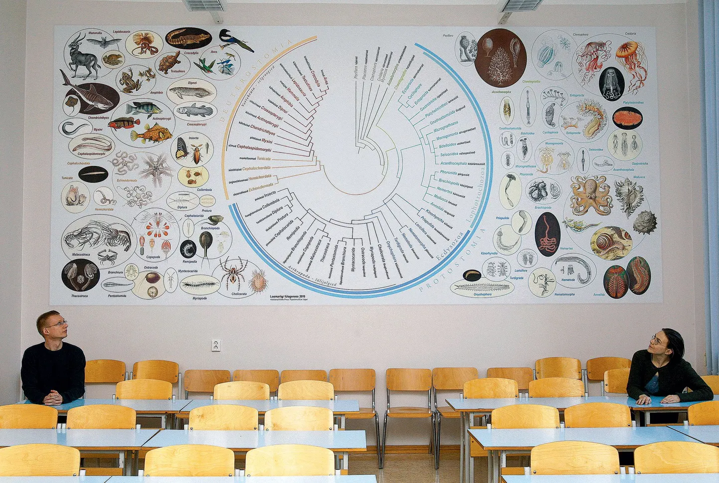 Tartu Ülikooli zooloogiadoktorant Marko Prous ning ülikooli raamatukogu kunstnik-kujundaja Eve Valper esitlesid eile Vanemuise 46 õppehoones ligi 20-ruutmeetrist pannood, mis näitab meile teadaolevate elusorganismide sugulust.