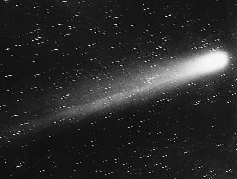 Halley komeet 1910. aasta fotol