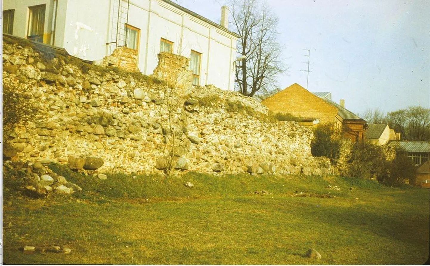 Säilinud müüriosa 1980ndatest vaatega botaanikaaia poole.