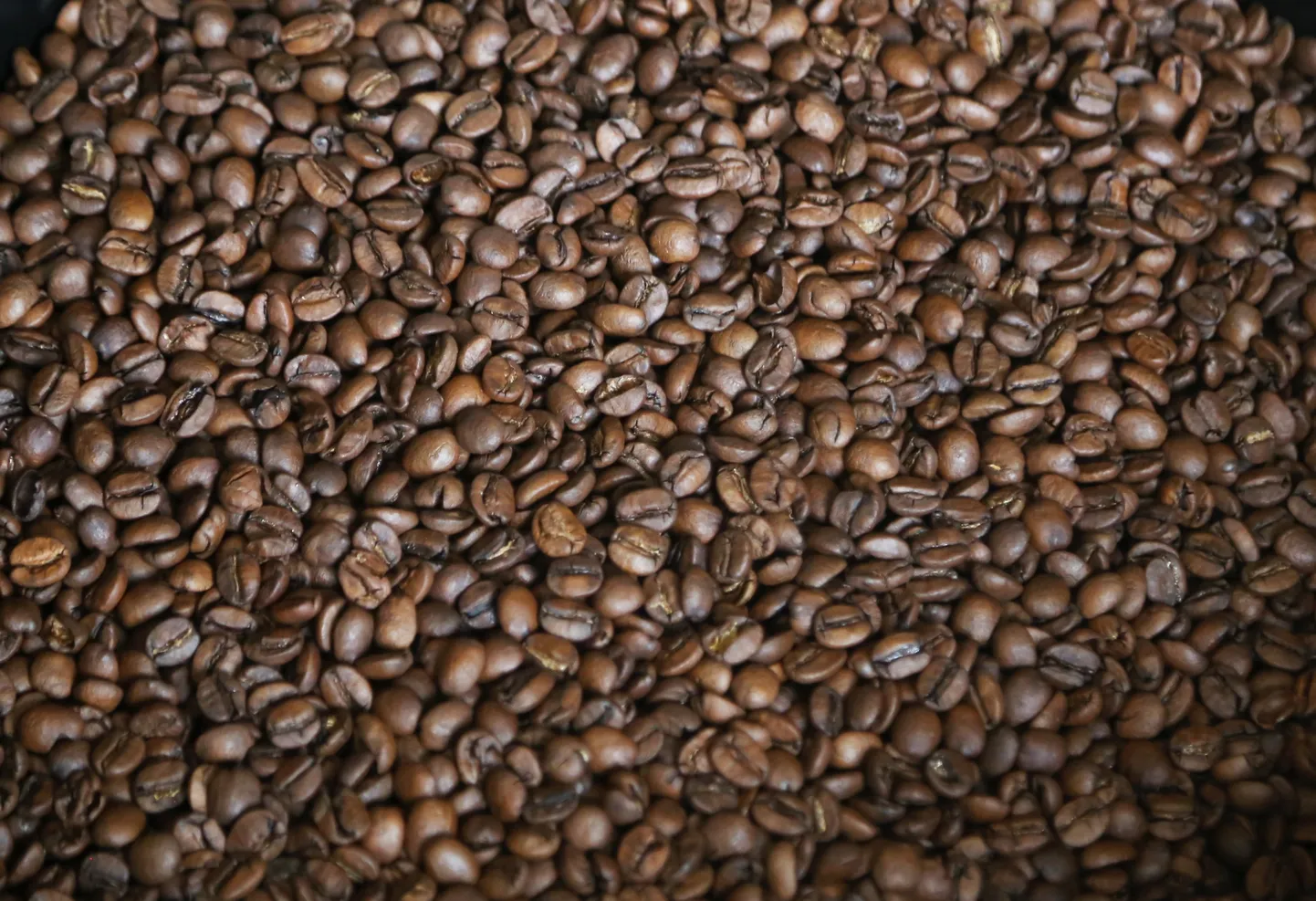 "Kalve coffee" kafijas pupiņas.