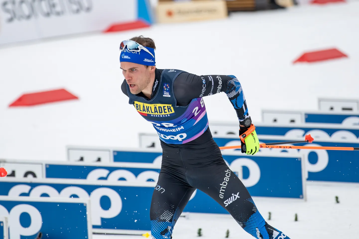 Alvar Johannes Alev avas MMi 28. kohaga.