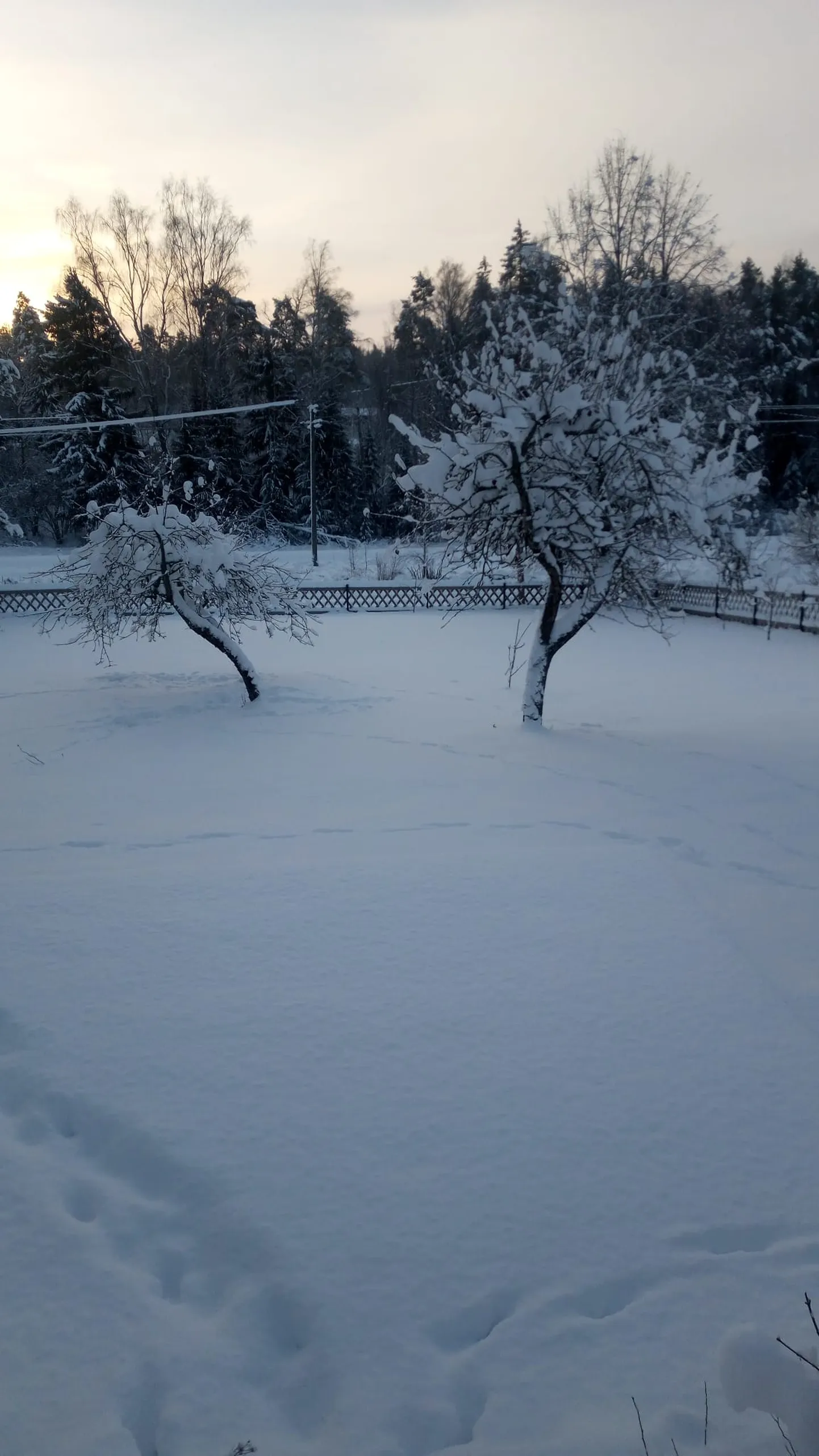 Foto Peedult. Las olla lumine rahu, sõnas poeg Juhan Aru.