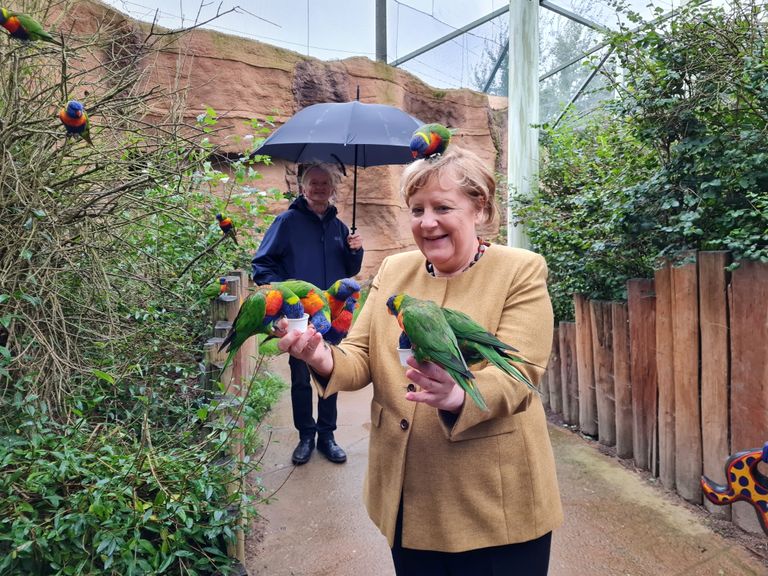 Saksa kantsler Angela Merkel külastas 23. septembril Põhja-Saksamaal Marlowis asuvat linnuparki
